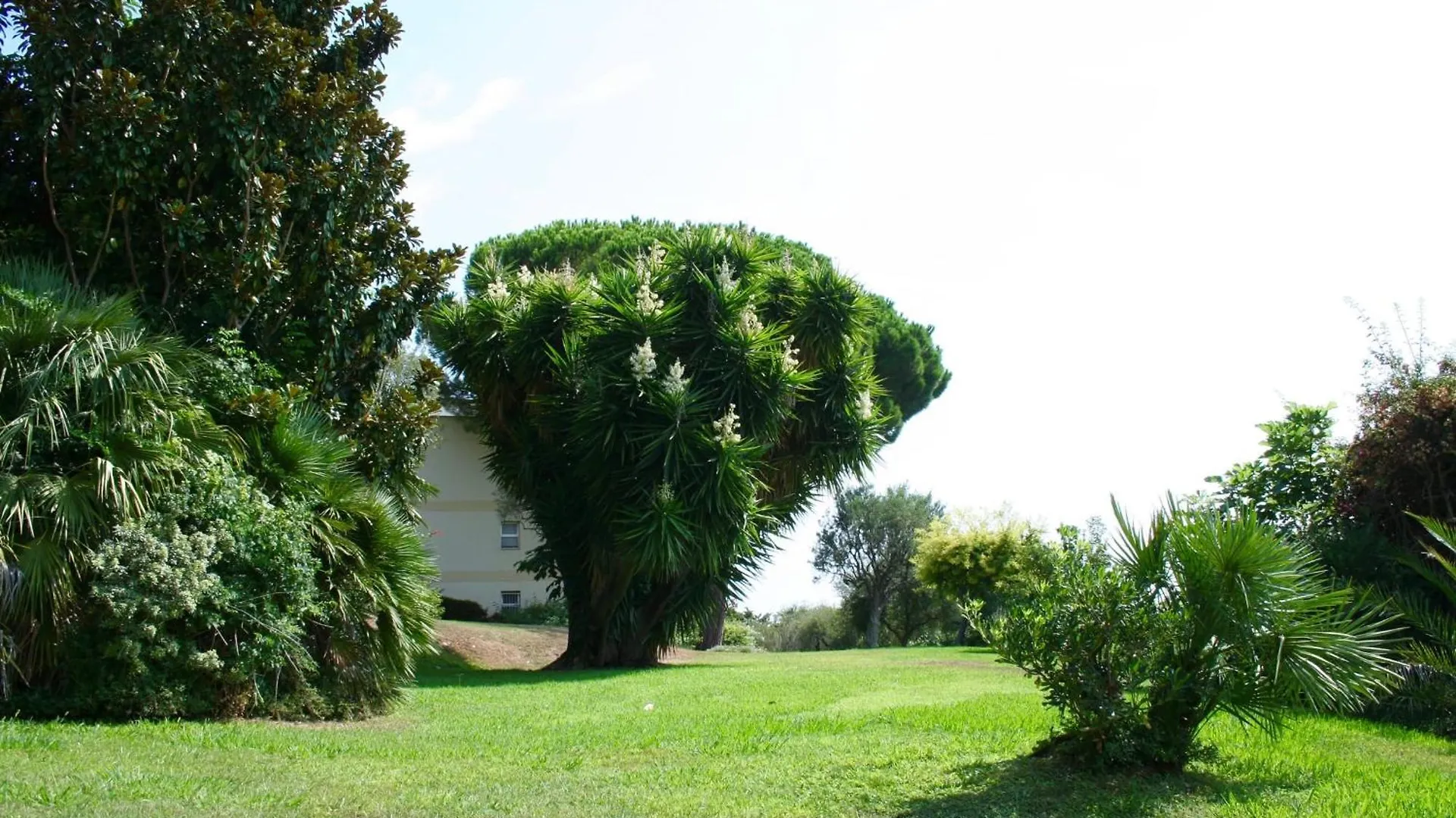 Sea View & Gardens In Antibes Apartment