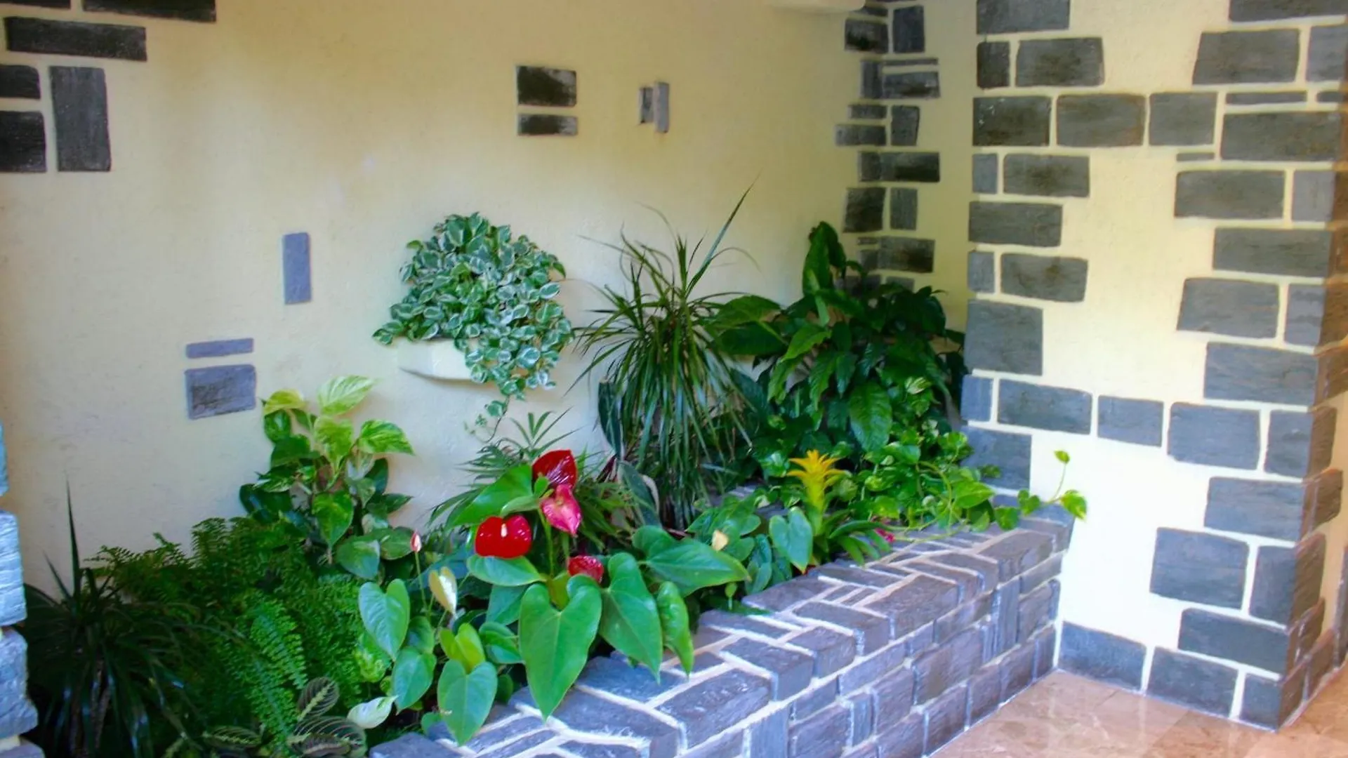 Sea View & Gardens In Antibes Apartment