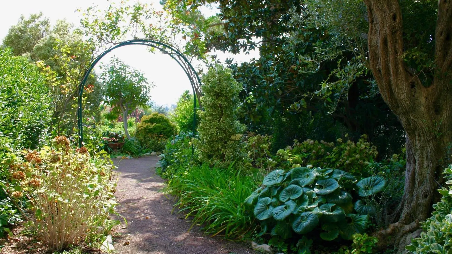 Appartamento Sea View & Gardens In Antibes Francia